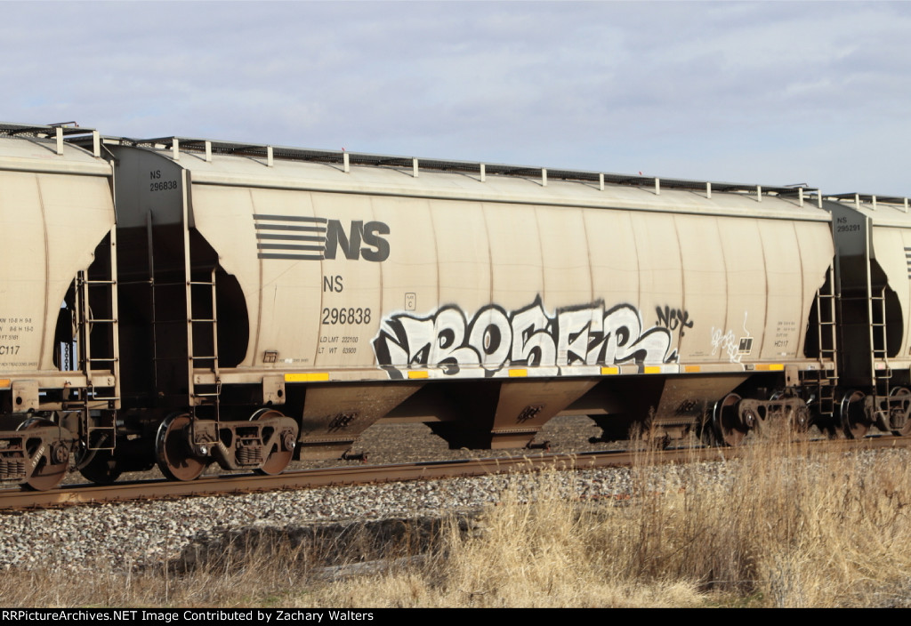 NS 296838